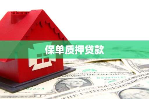 双辽保单质押贷款