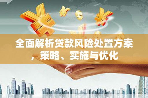 双辽全面解析贷款风险处置方案，策略、实施与优化