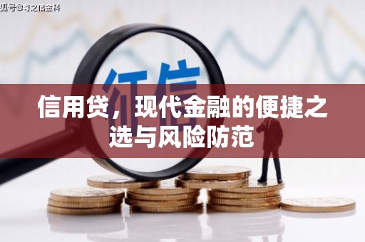 双辽信用贷，现代金融的便捷之选与风险防范