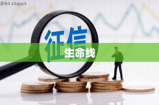 双辽生命线
