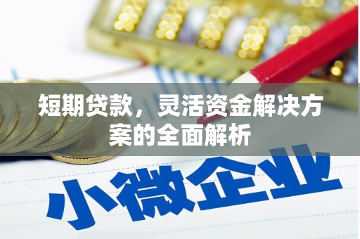 双辽短期贷款，灵活资金解决方案的全面解析