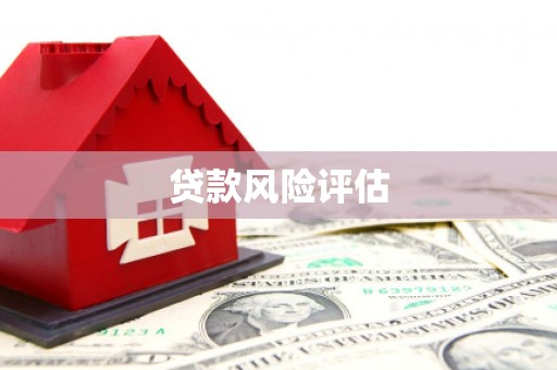 双辽贷款风险评估