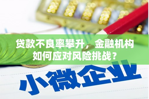 双辽贷款不良率攀升，金融机构如何应对风险挑战？