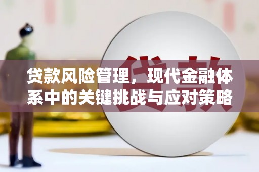 双辽贷款风险管理，现代金融体系中的关键挑战与应对策略