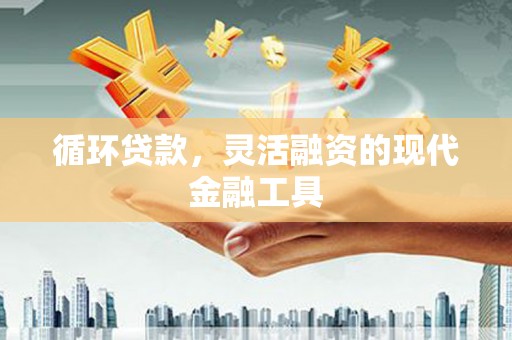 双辽循环贷款，灵活融资的现代金融工具